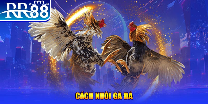 pgsharp đăng nhập phỏm đổi thưởng