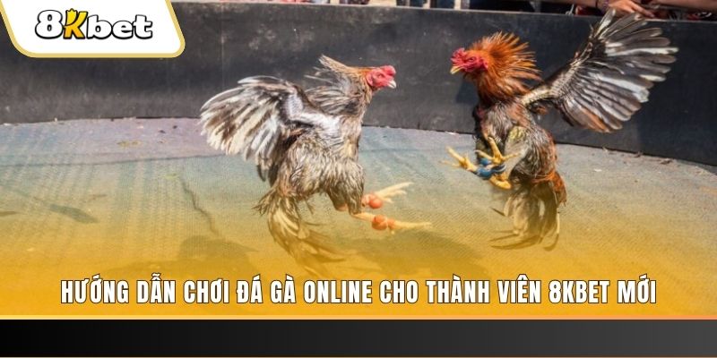 pgsharp JILI Game Bài 3d