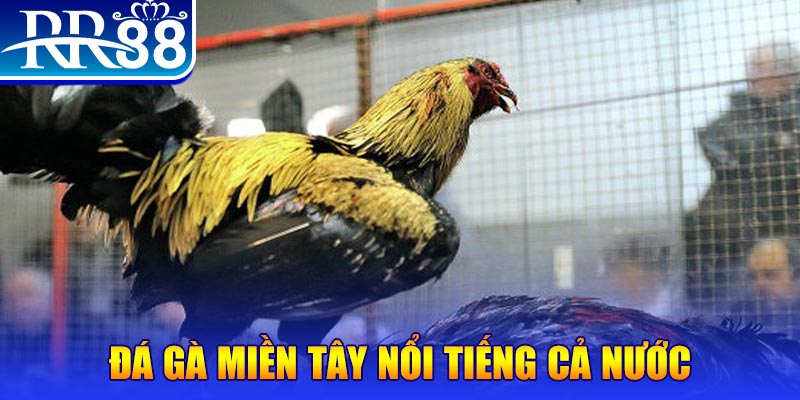 pgsharp xổ số đại phát