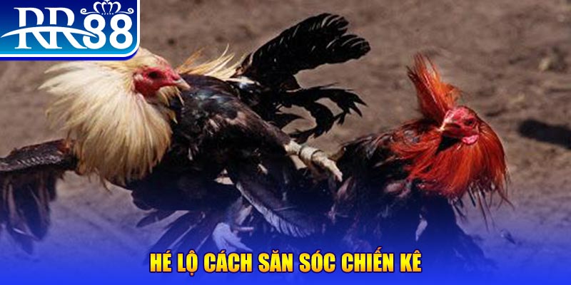 pgsharp xổ số miền trung thứ tư