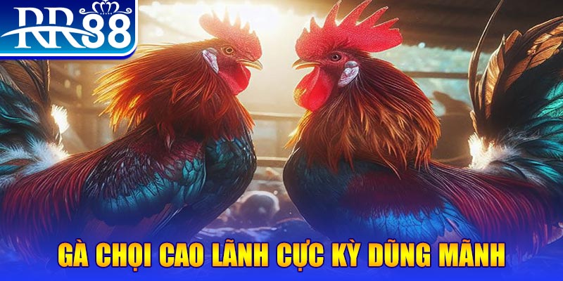 HB Điện Tử